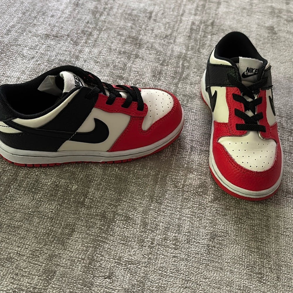 Nike Dunk Low EMB•NBA 75th Anniversary Chicago 10C
